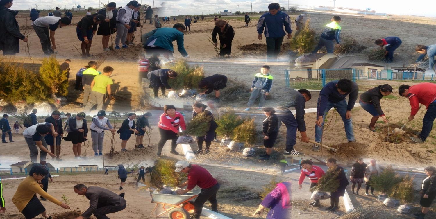 Көгалдандыру