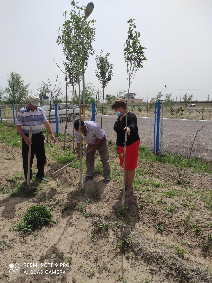 Жасыл желек